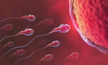 Myter og fakta om fertilitet